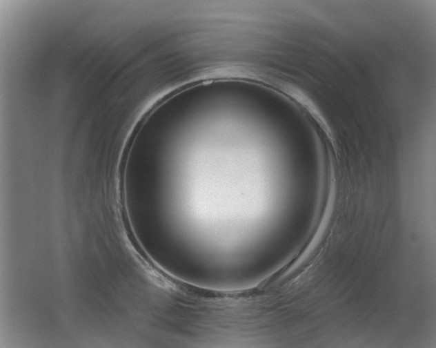 X0000062640996200512211159