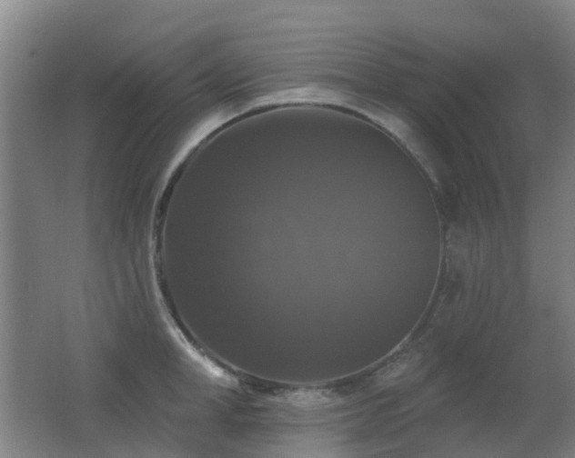 X0000062640998200512211159