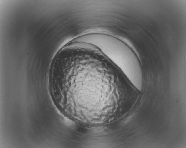X0000062640999200512211159