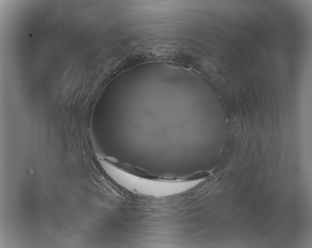 X0000062641009200512211158