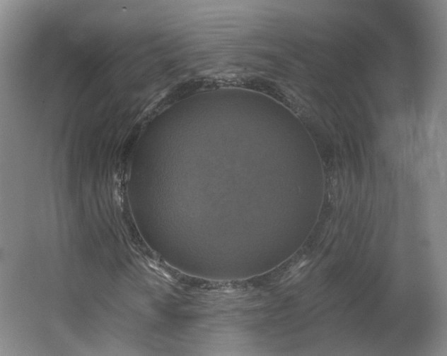 X0000062641010200512211158