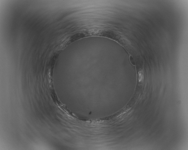 X0000062641011200512211158