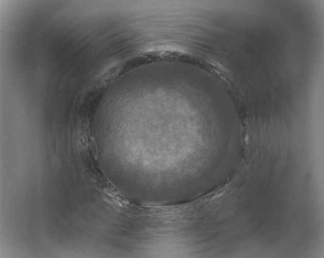 X0000062641014200512211158