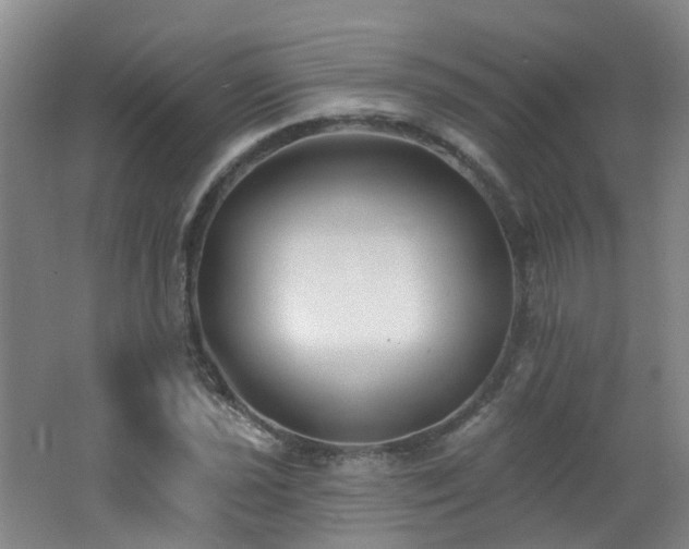 X0000062641021200512211158