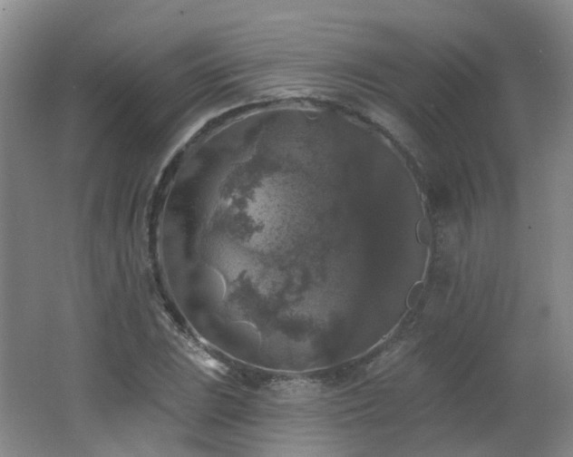 X0000062641023200512211158