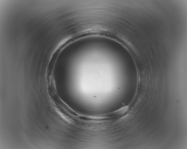 X0000062641026200512211158