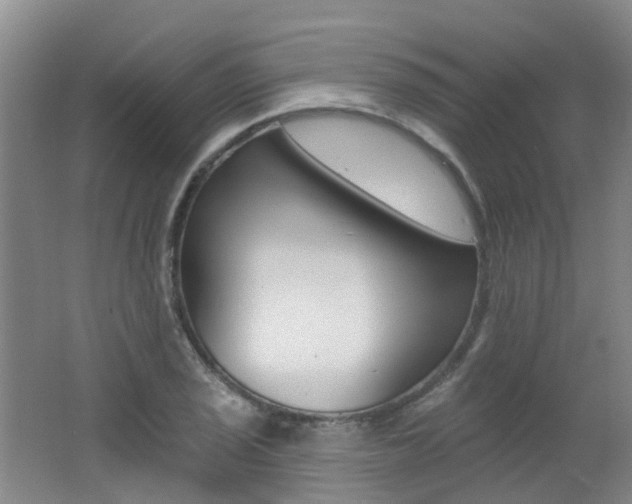 X0000062641029200512211158