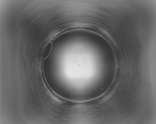 X0000062641033200512211158