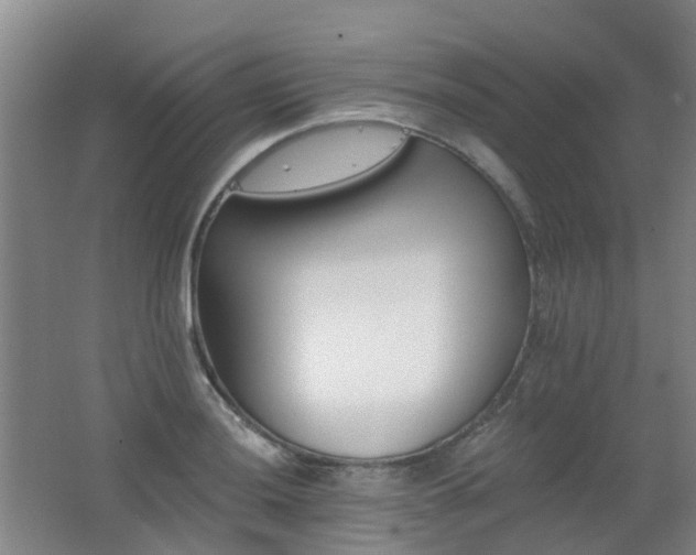 X0000062641036200512211158