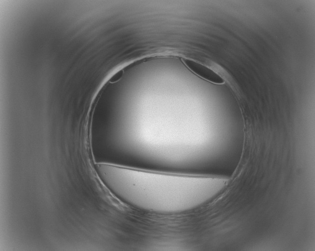 X0000062641052200512211159