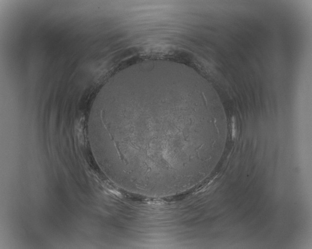 X0000062641059200512211158