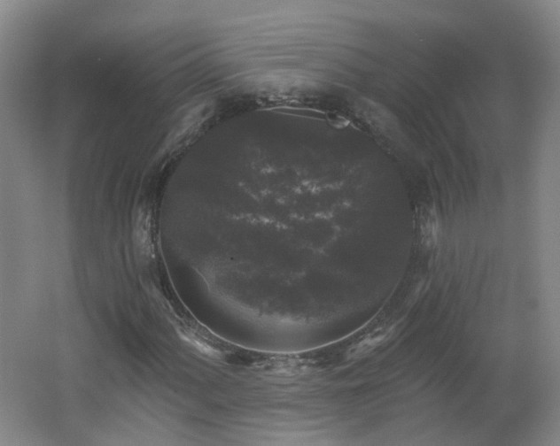 X0000062641060200512211158