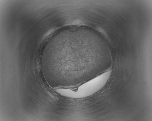 X0000062641064200512211158