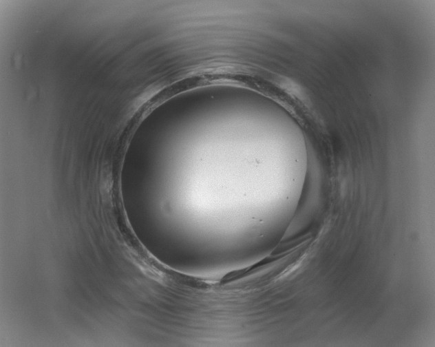X0000062641065200512211158