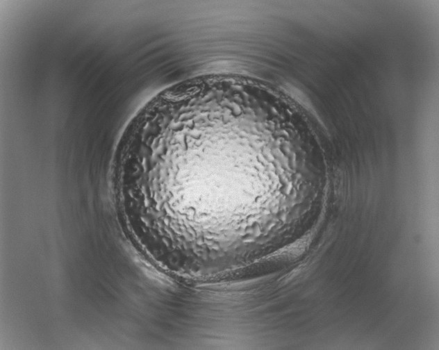 X0000062641068200512211158