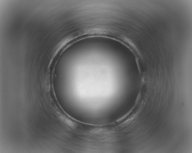 X0000062641075200512211158