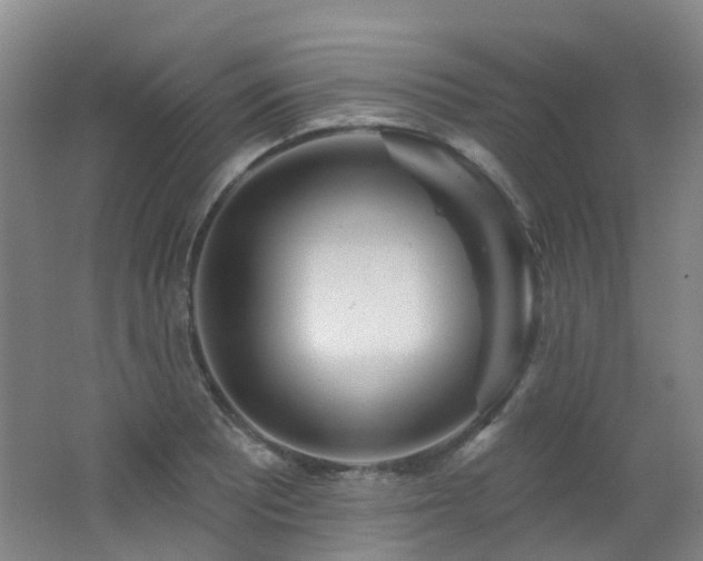 X0000062641081200512211158