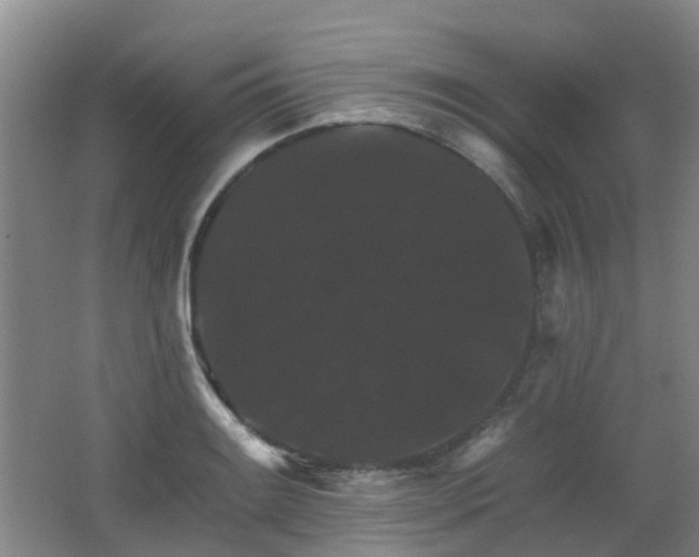X0000062641084200512211157