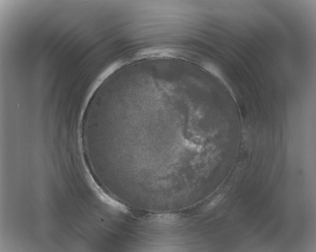 X0000062641090200512211157