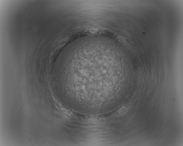 X0000062641105200512211156