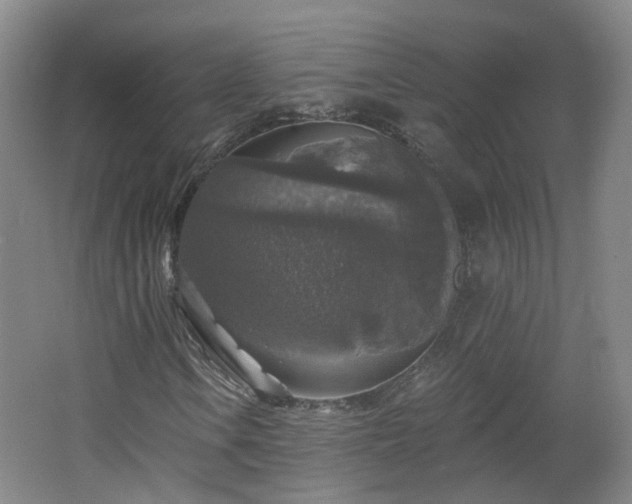 X0000062641106200512211156