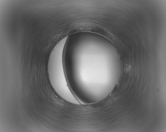 X0000062641108200512211156