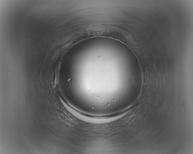 X0000062641109200512211156