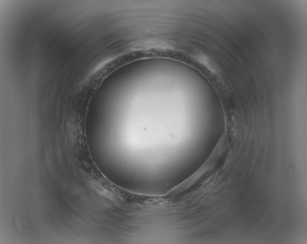 X0000062641112200512211156
