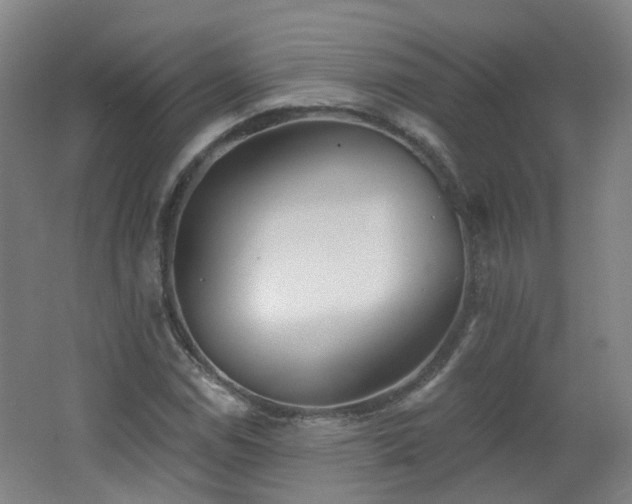 X0000062641114200512211156