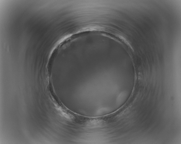 X0000062641117200512211156