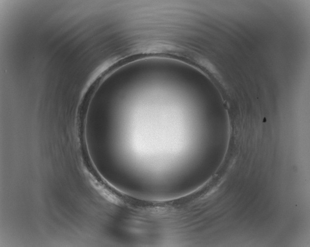 X0000062641122200512211157
