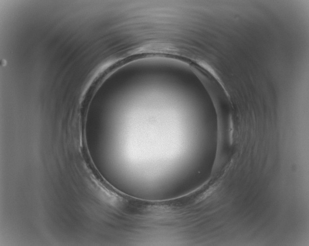 X0000062641123200512211157