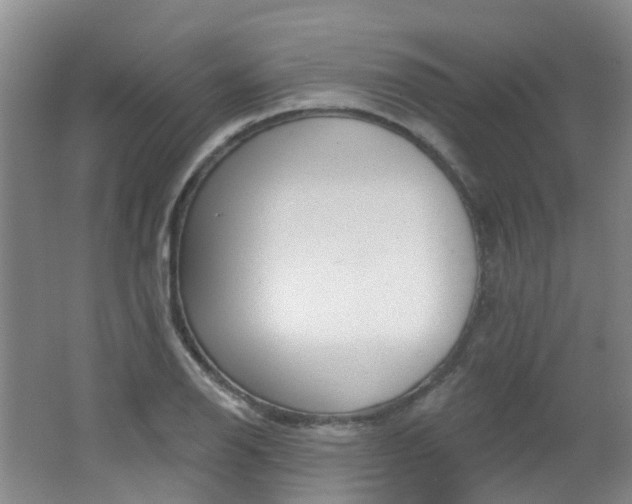 X0000062641126200512211157