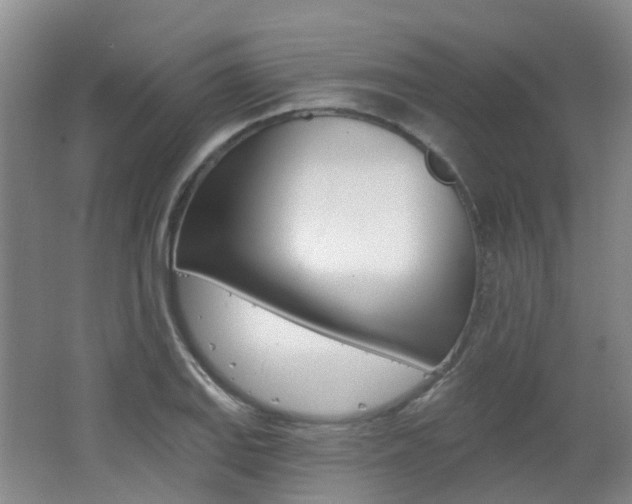X0000062641127200512211157