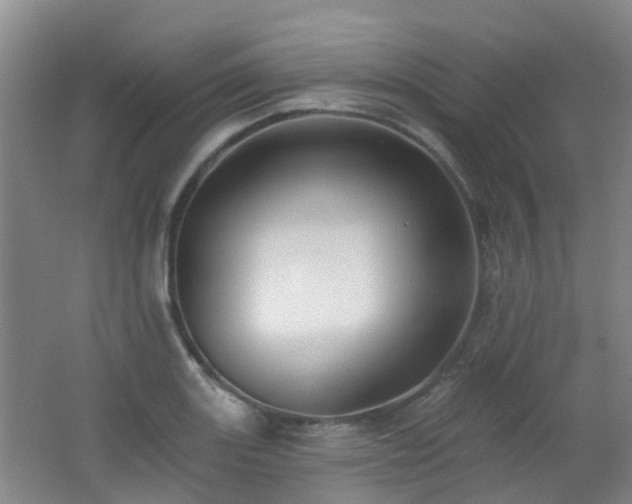 X0000062641131200512211157