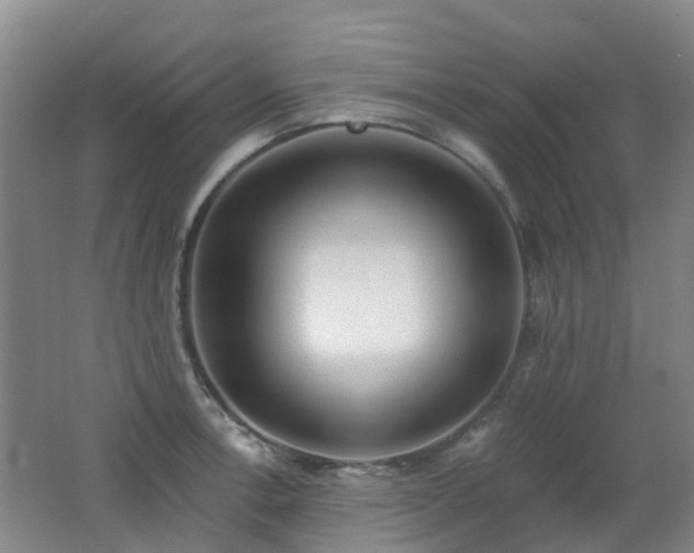 X0000062641138200512211157