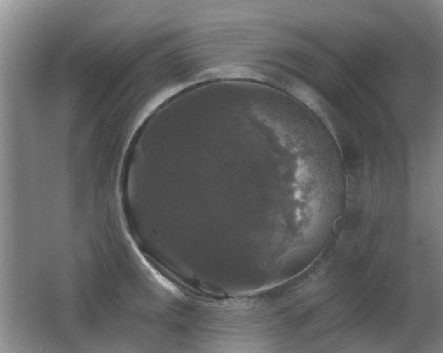 X0000062641141200512211157