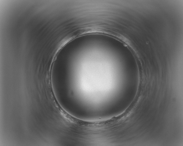 X0000062641145200512211157