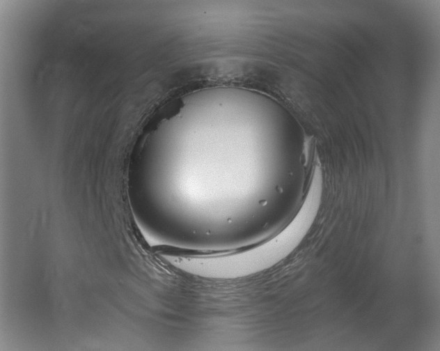 X0000062641153200512211156