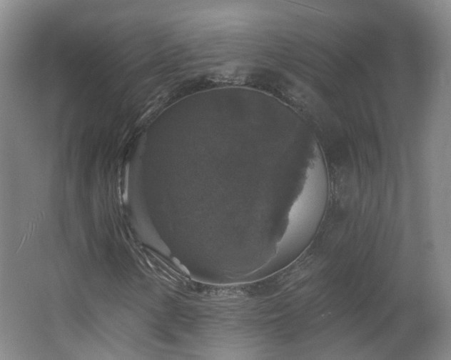 X0000062641154200512211156