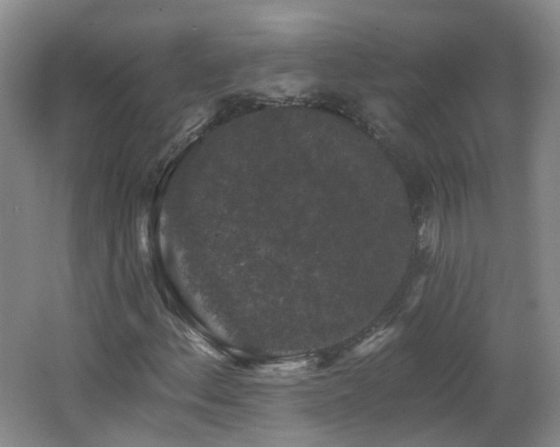 X0000062641156200512211156