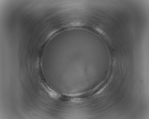 X0000062641161200512211156