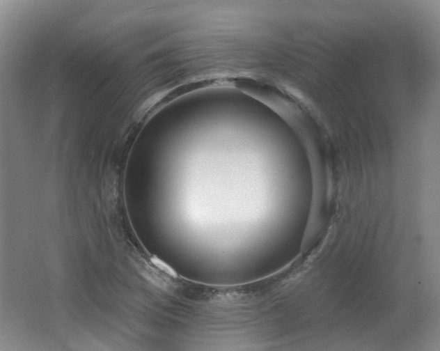 X0000062641169200512211156