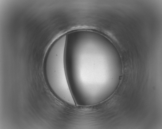X0000062641173200512211156
