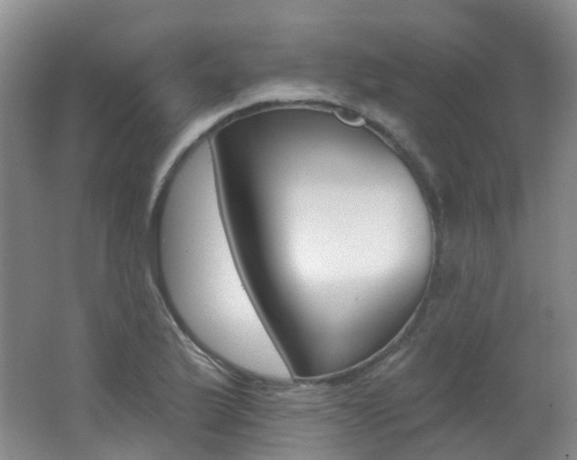 X0000062641175200512211156