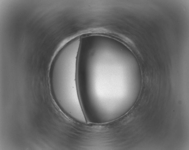 X0000062641176200512211156