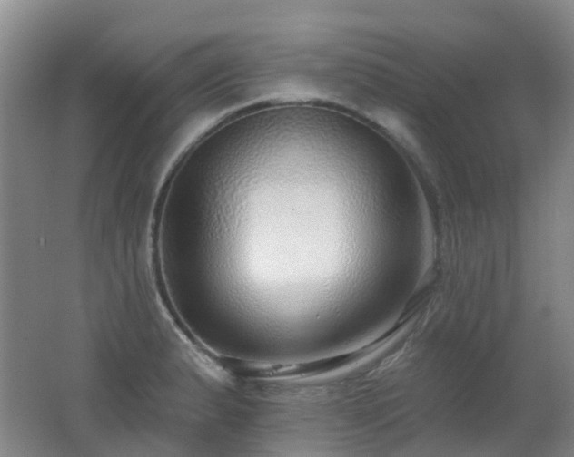 X0000062641183200512211156