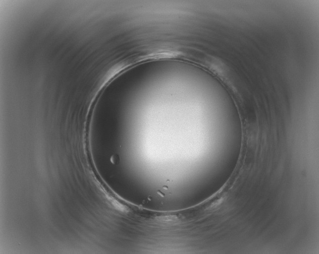 X0000062641186200512211156