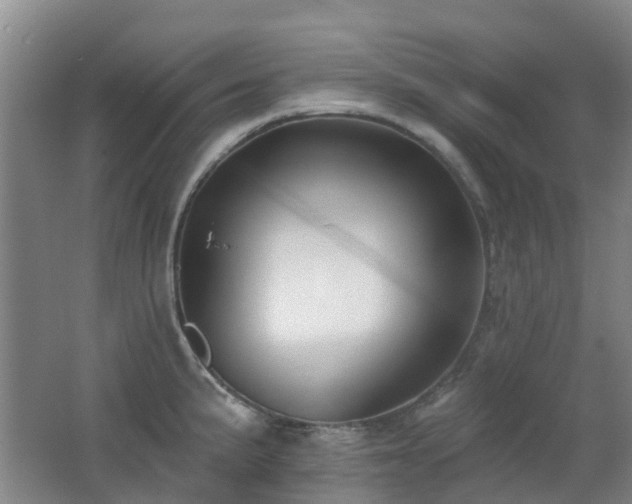 X0000062641191200512211156