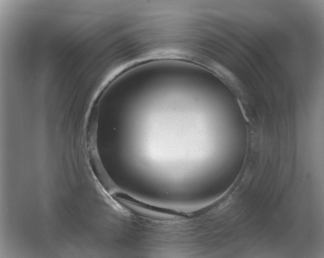 X0000062641192200512211156